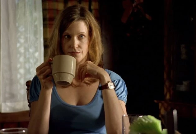 Во все тяжкие сериал 1 сезон