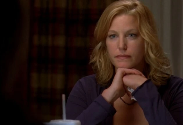 Во все тяжкие сериал 3 сезон